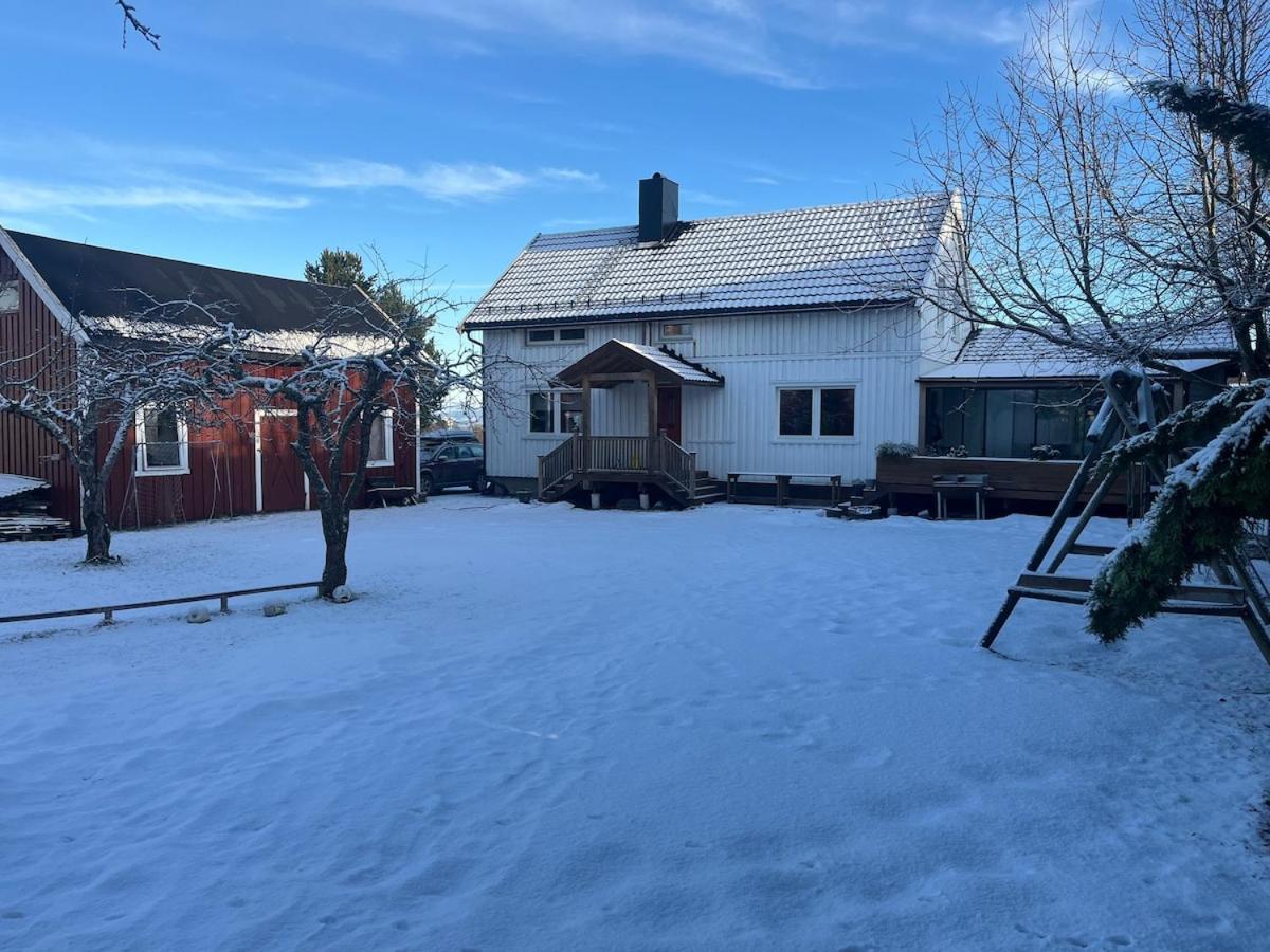 Older Villa With Large Garden Trondheim Exterior foto