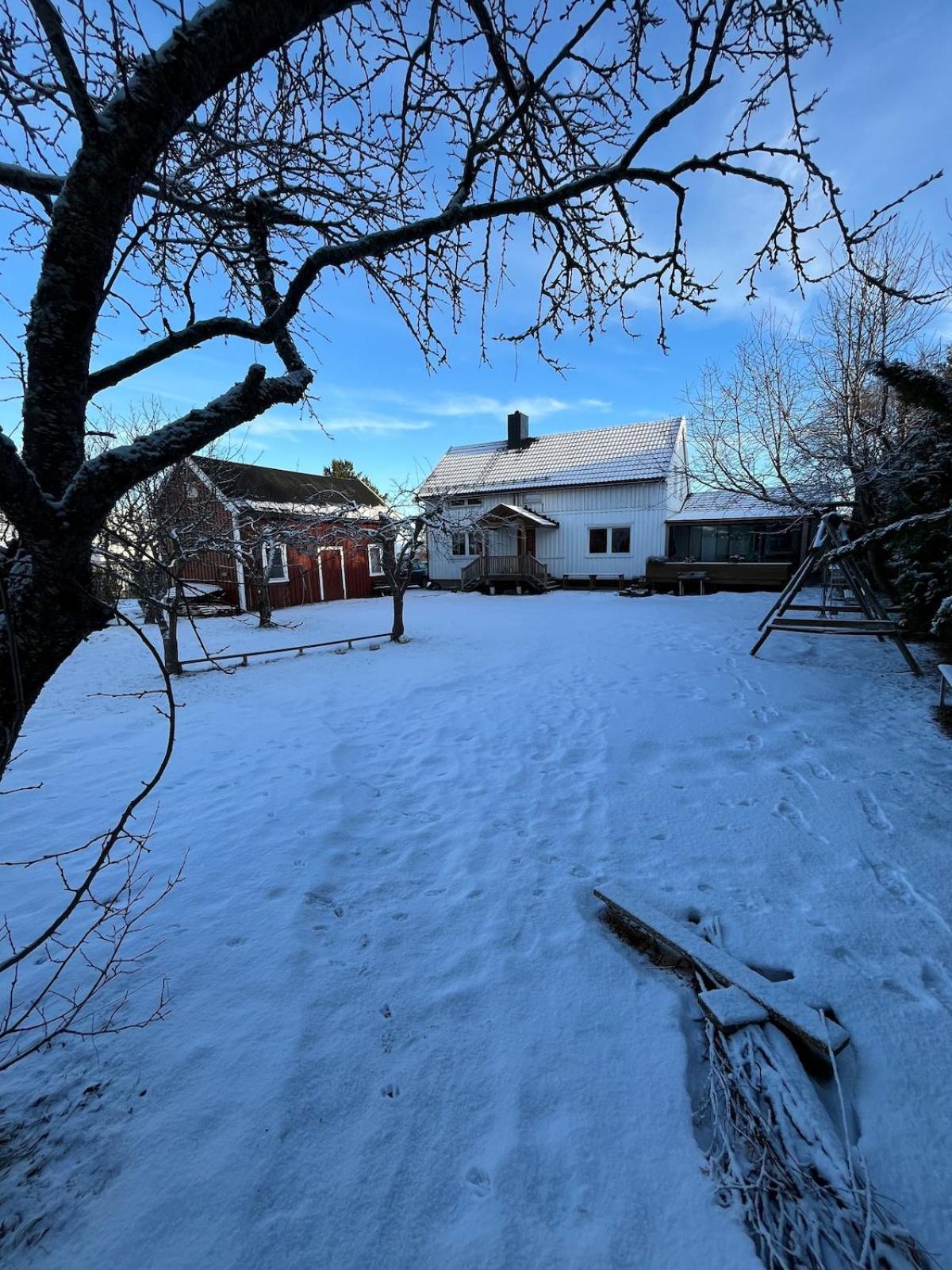 Older Villa With Large Garden Trondheim Exterior foto